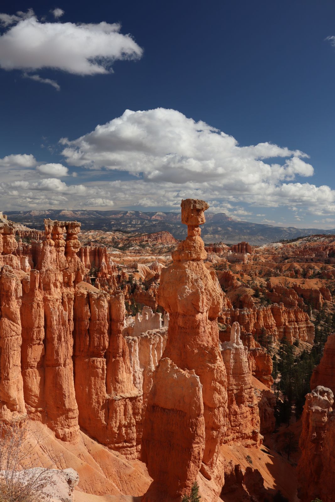 Saturday 28th October 2023, Thor's Hammer, Bryce Canyon Utah USA